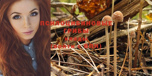 PSILOCYBIN Пролетарск