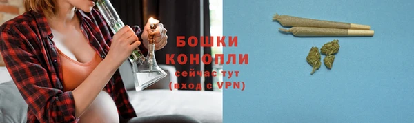 стафф Туринск