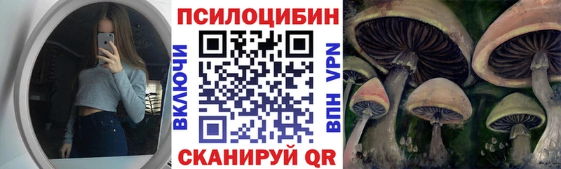 Псилоцибиновые грибы прущие грибы  это официальный сайт  Кубинка 