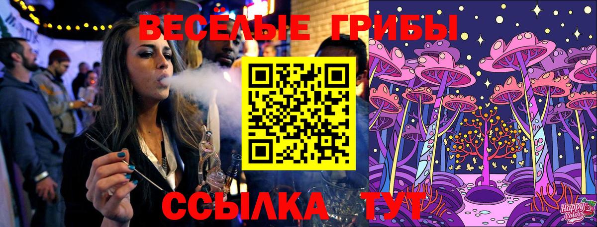Псилоцибиновые грибы Psilocybine cubensis  Вход с VPN  Кубинка  Галлюциногенные грибы ЛСД 