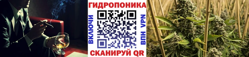 Канабис гибрид  Кубинка 